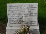 image of grave number 237618